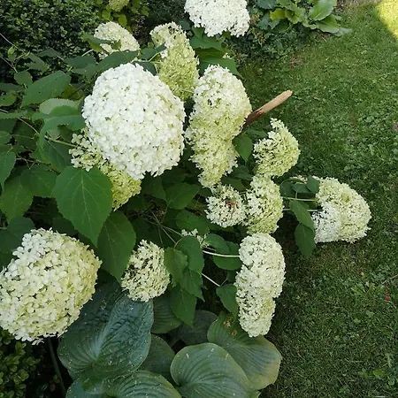 Appartementskofler * 말니츠