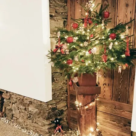 Appartementskofler Mallnitz