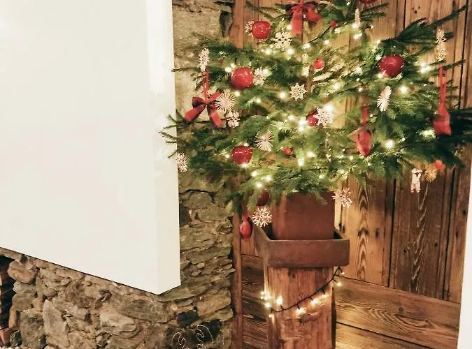 Boutique Appartementskofler Mallnitz