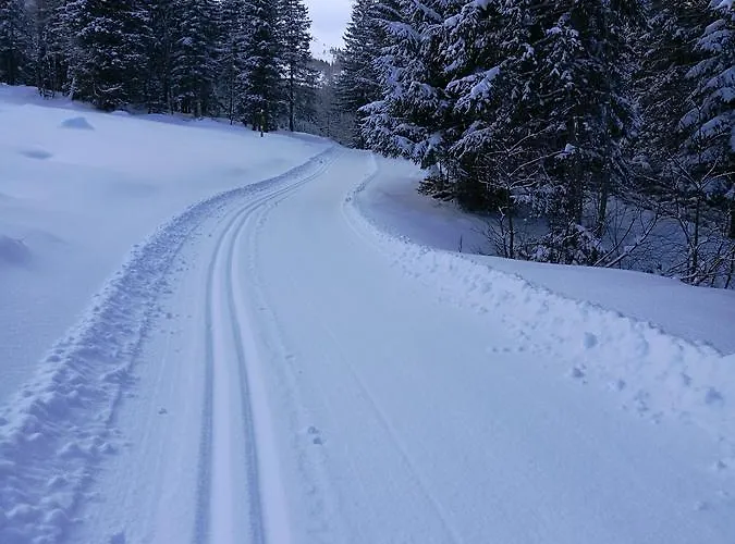 Boutique Appartementskofler 公寓 *